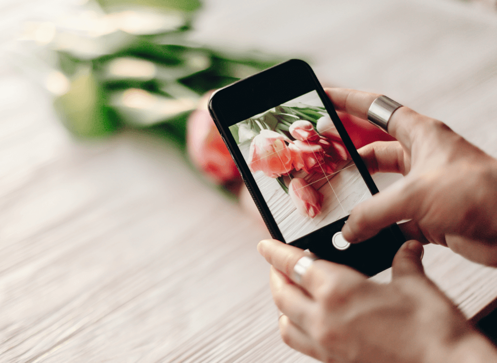 person taking a picture of a flower